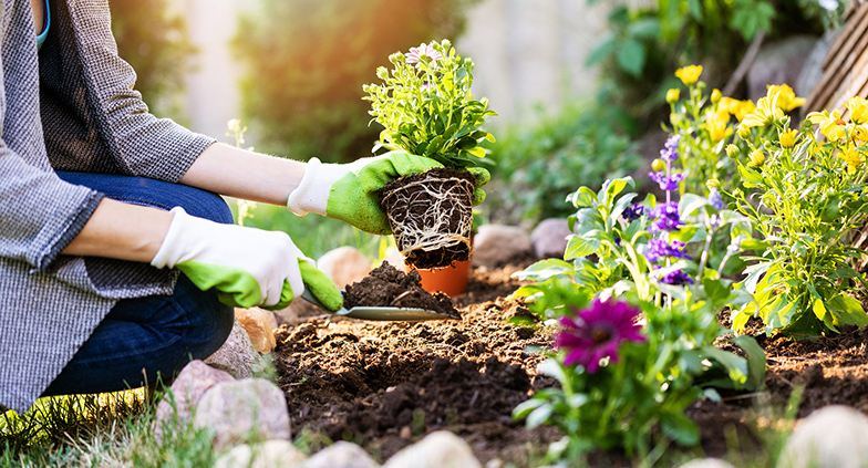 Trucs et astuces de jardinage