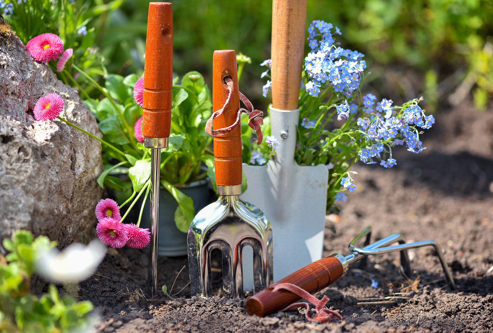 Améliorez votre jardin