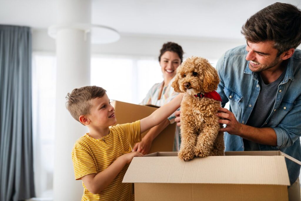 Une famille joue avec son chien dans un carton de déménagement