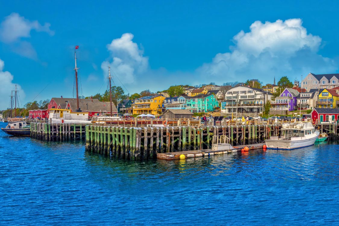 Le port d'Halifax, avec ses bâtiments et bateaux colorés en bord de mer, témoigne du charme côtier et du dynamisme de la communauté.