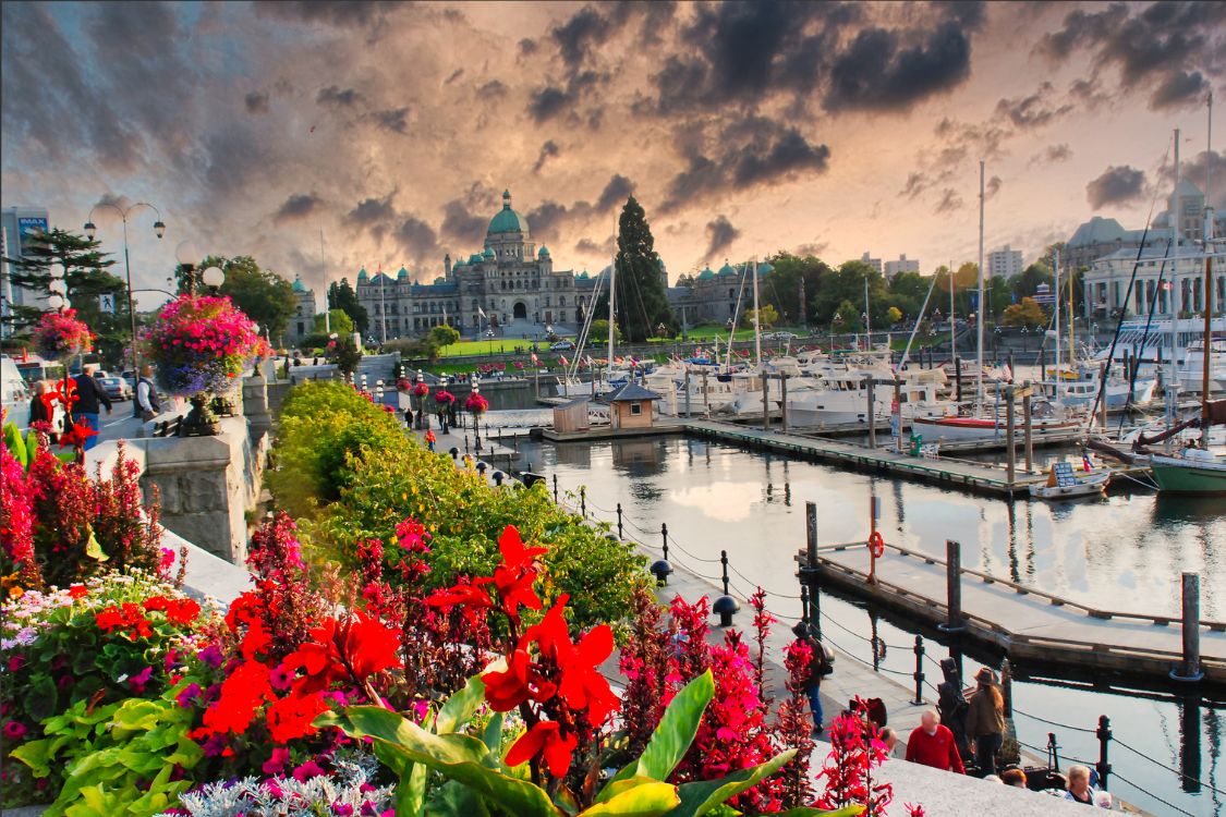 Le front de mer de Victoria, avec son architecture historique, sa marina et ses fleurs, met en valeur le mode de vie et les loisirs locaux.
