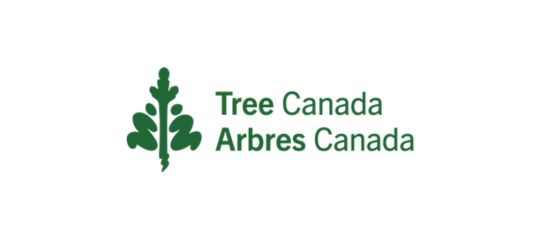 Tree Canada Logo