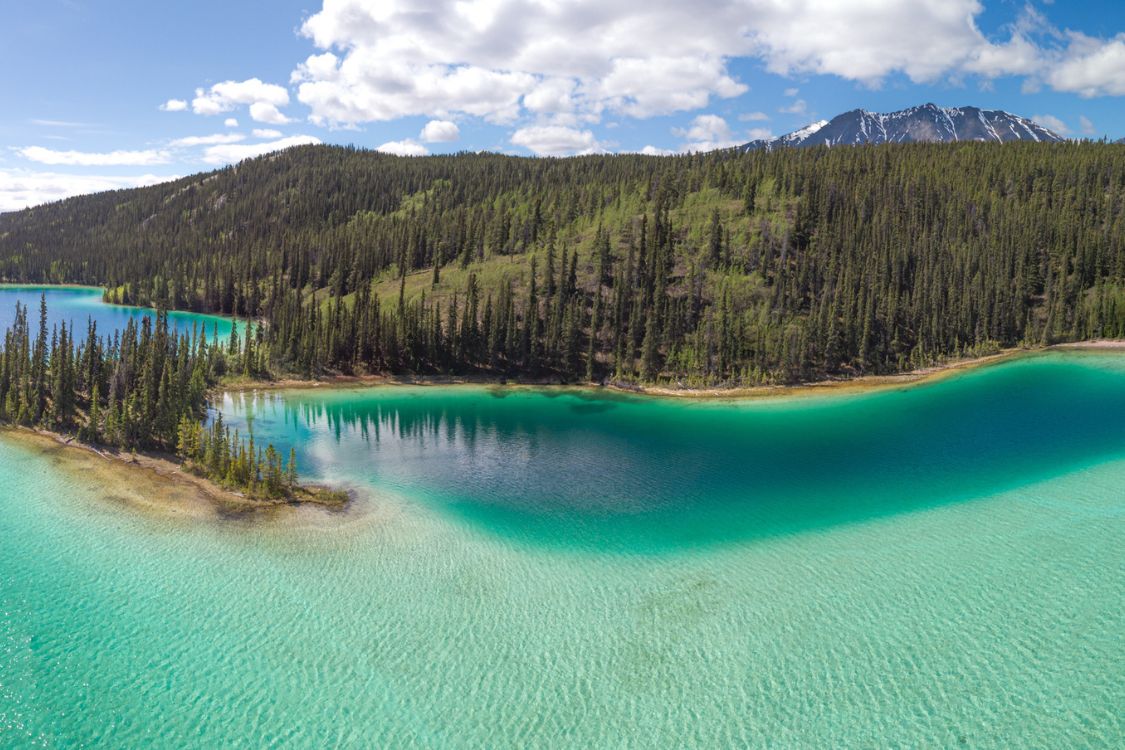 Paysages de montagnes et de forêts près de Whitehorse, au Yukon, mettant en valeur le mode de vie et les loisirs en plein air