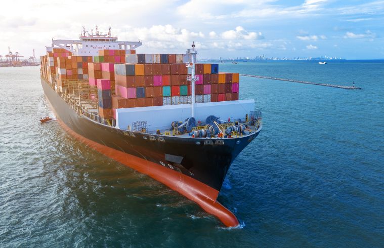Shipment tracking and customs